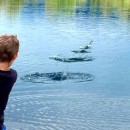 How Skipping Rocks and the Magic Move…
